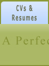  CVs & Resumes 