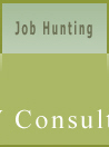  Job Hunting 